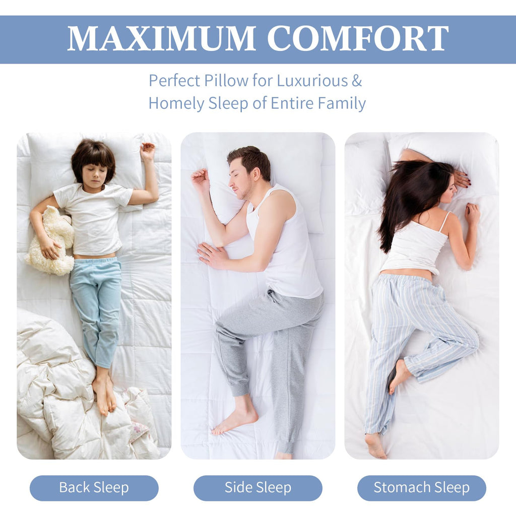 Sherwood Hotel Collection Bed Pillows for Sleeping 2 Pack Queen Size, Soft Microfiber Cover and 3D Super Soft Down Alternative Filled White Pillows (Queen)