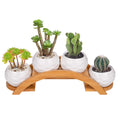 Yarlung 4 Pack Succulent Plant Pots and Stand Set, Ceramic Mini Planter Pots with Bamboo Tray, 2.75 Inch Small Cactus Flower Pot for Garden, Office Desk, Home Decor (No Plants Included)