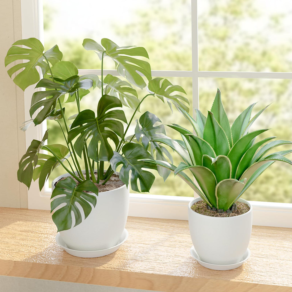 Bamworld 5 Pack Indoor Plant Pots with Drainage Holes and Saucers - Multi-Size Flower Pots for Indoor Outdoor Use Plastic Plant Pot for Home Gardening Containers(Black)