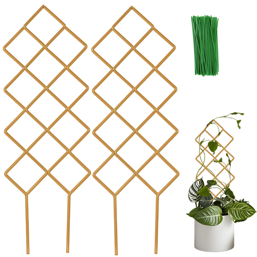 Wellsign Metal Plant Trellis Indoor, 16.36 inch Small Trellis for Potted Plants Geometric Shape Lattice for Ivy Vines Hoya Houseplants Flower Support 2 Pack
