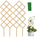 Wellsign Metal Plant Trellis Indoor, 16.36 inch Small Trellis for Potted Plants Geometric Shape Lattice for Ivy Vines Hoya Houseplants Flower Support 2 Pack