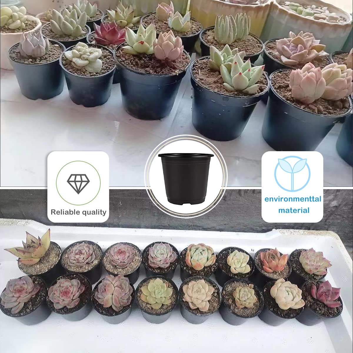 Nursery Pots 50 PCS 6Inch Plastic Plant Pot Flower Seed Starter Pots for Seedling Nursery Supplies Grow Pot Planter Flower Pot Container for Succulents Seedlings Transplanting (Black 6Inch)