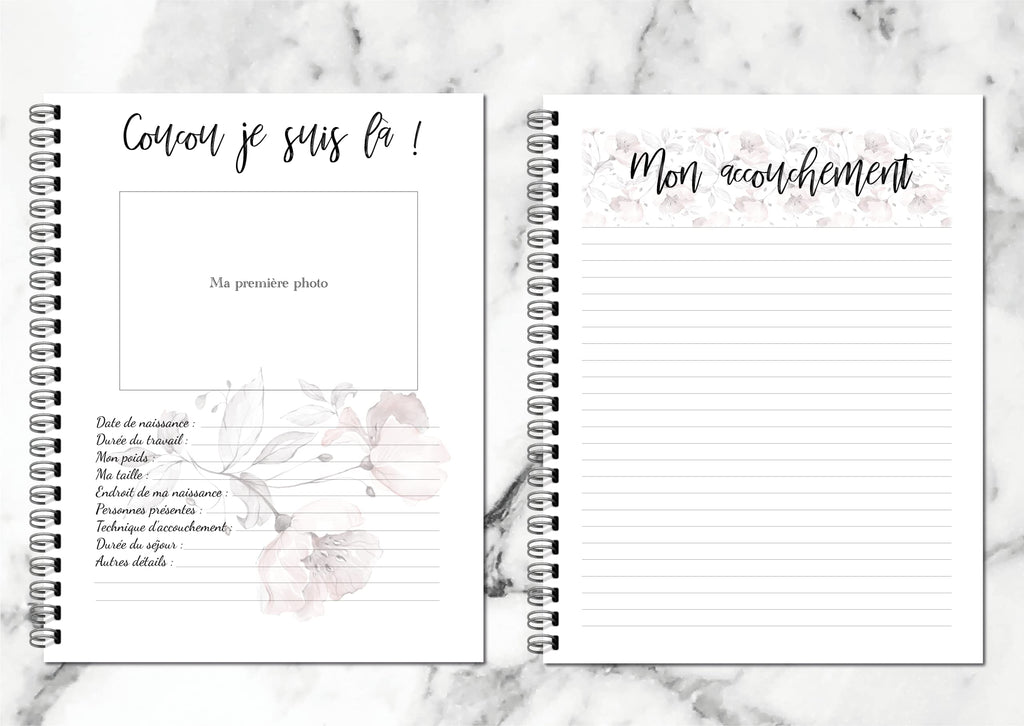 Journal De Grossesse (en français)
