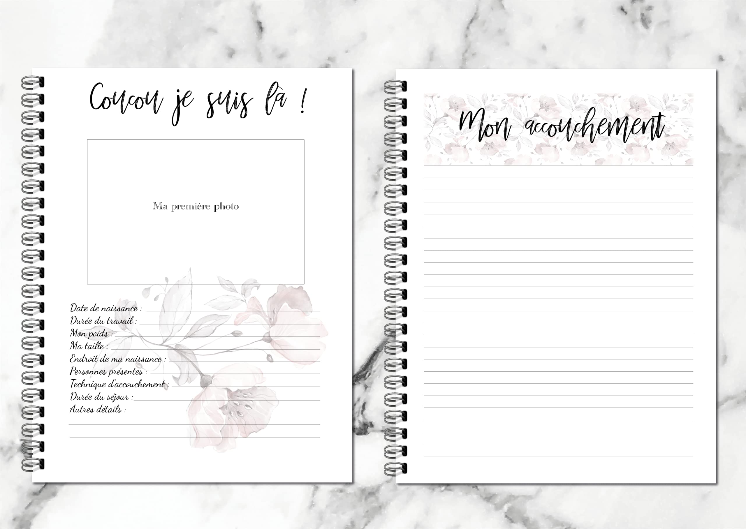 Journal De Grossesse (en français)