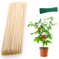 Frcctre 200 Pack 16 Inches Bamboo Plant Stakes, Bamboo Plant Sticks with 200 Pcs 4" Wires, Plants Garden Sticks Wooden Sign Posting Garden Support for Tomatoes, Floral, Potted Plants, Crafts