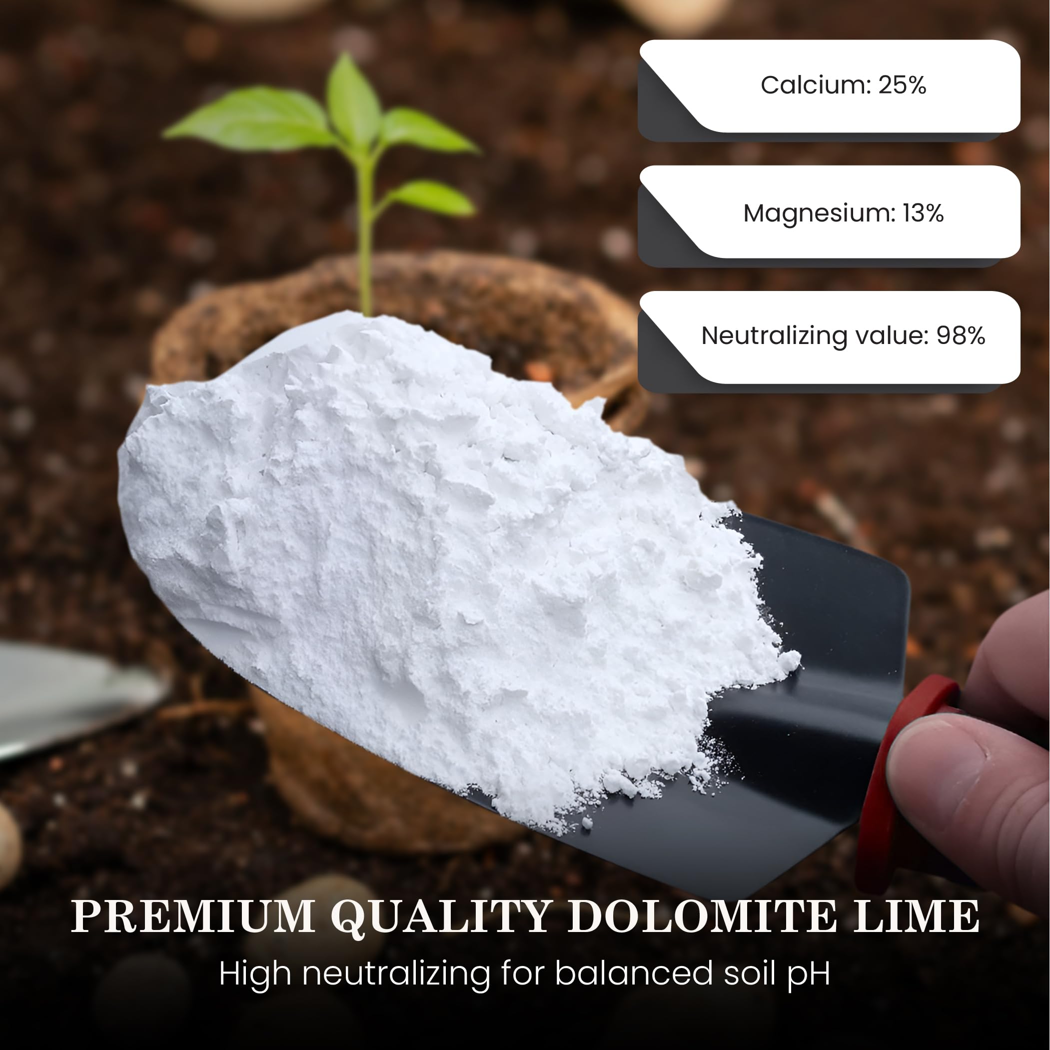 Crushed Dolomite Lime for Lawns | Natural & Organic Dolomite Lime from Canadian Rockies | | Dolomite Lime for Gardens | Gardening Lime | No Added fillers | 100% Dolomite Lime (1 Kilogram / 2.2 Lbs)