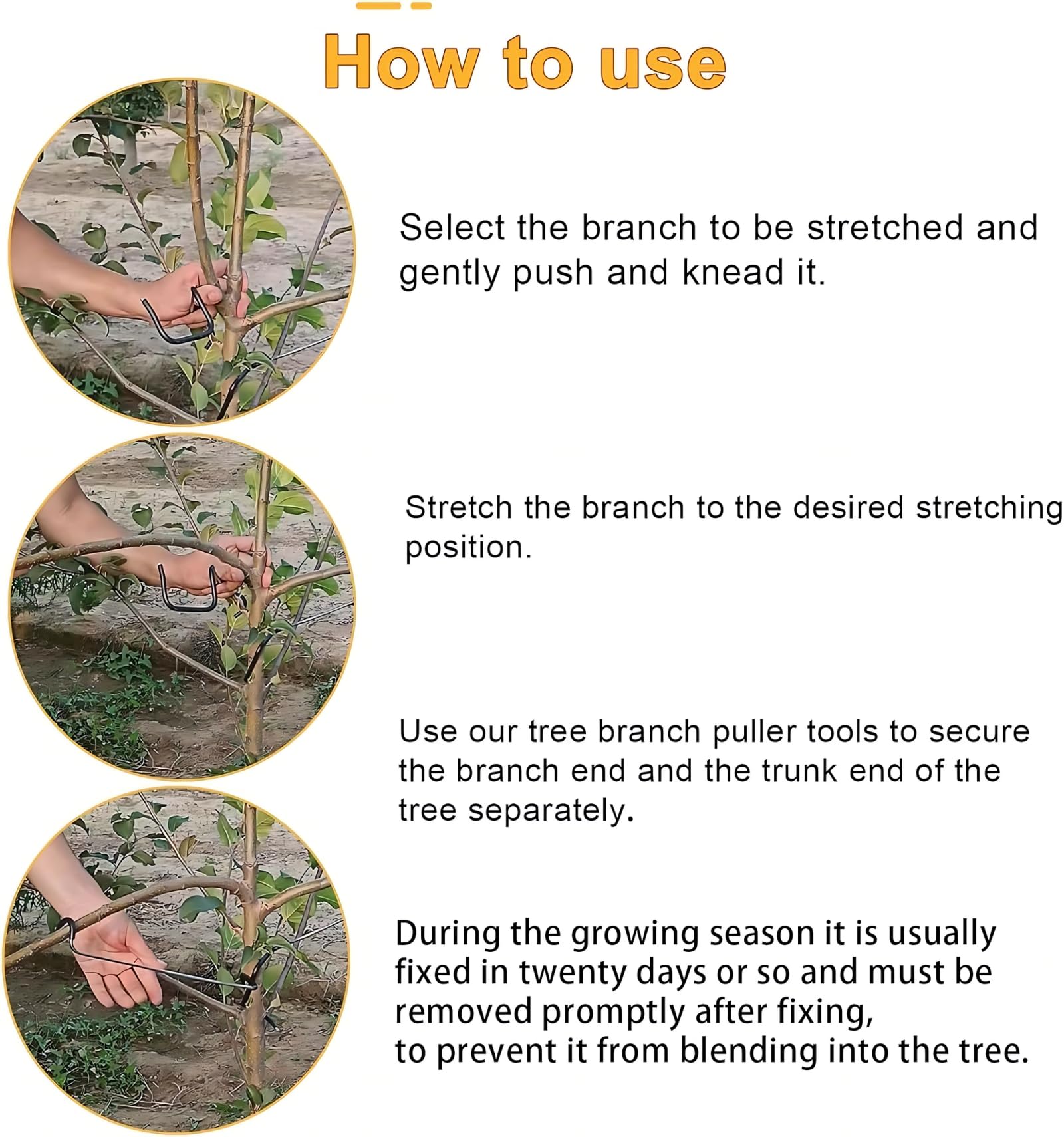 WLSANX Fruit Tree Limb Spreader 20pcs,10inch Branch Puller,New Fruit Branch Spreader Plastic Hose Wrapped Iron Wire Don't Damage Branches,Tree Open Angle Pull Branch Bending Tool (26T)