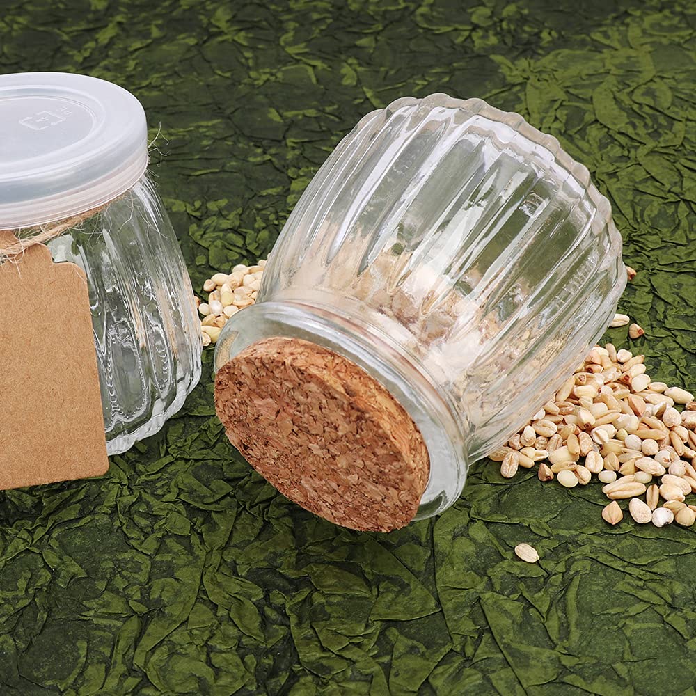 4 oz Glass Jars with PE Lids and Cork Lids, 24 Pack Mini Pudding Jars Clear Yogurt Jars Glass Favor Jars Containers for Spice, Jam, honey, Mousse, Wedding Favors, Shower Favors, DIY and Art