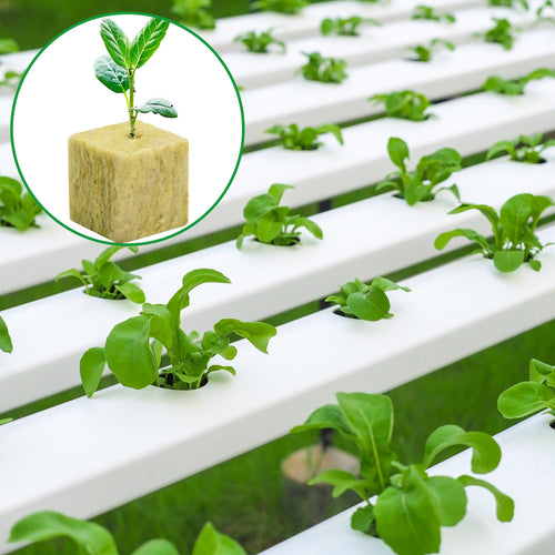 144Pcs Rockwool Grow Cubes - 1.5×1.2×1.2Inch Stonewool Starter Plugs for Rapid Plant Growth - Starter Cubes Plugs with Holes for Hydroponic, Seeds Germination and Soilless Growing