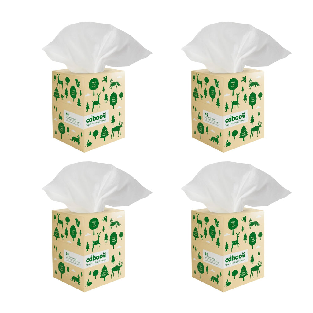 Caboo Tree Free Facial Tissues, 3 Ply Natural Tissue Paper, Pack of 4, Hypoallergenic Tissue Boxes, 60 Tissues Per Box, 240 Total Tissues