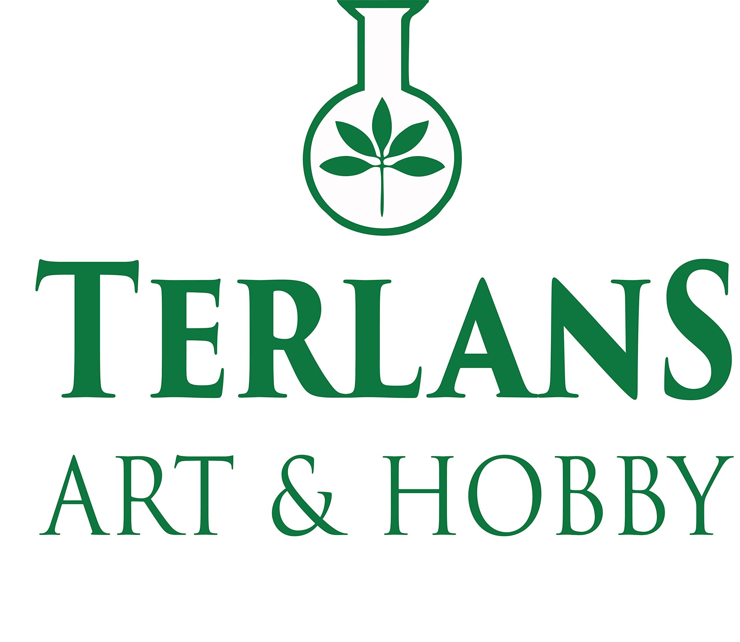TERLANS Professional Odorless Oil Paint Thinner 100 ml (3.38 Fl.Oz.) – Controlled and Smooth Dilution, Completely Odorless Turpentine Substitute for Painting