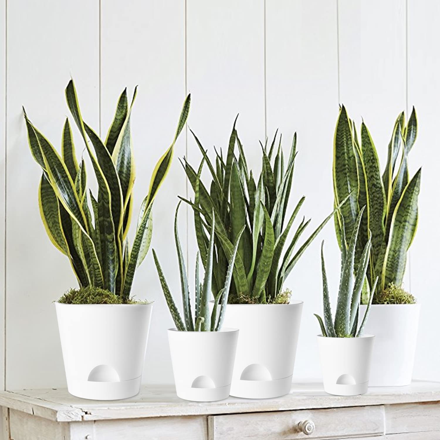 Self Watering Planters, 6 Pcs 8''+7"+6.5"+6"+5.5"+5" Plastic Flower Pots with Detachable Reservoir and Drainage Holes, Modern White Planter for Decorative Indoor Outdoor Plants (White)
