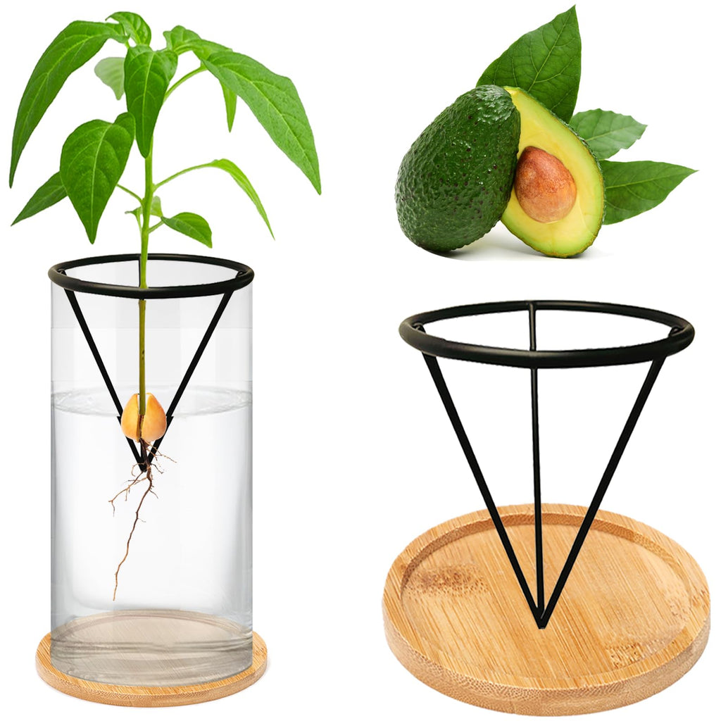QXBXYHM Avocado Tree Growing Kit, Avocado Growing Vase with Plant Pot, Wooden Base, Metal Stand, Black-transparent, Contemporary, Minimalist, Indoor, 3 Inch, 1 Count