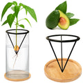 QXBXYHM Avocado Tree Growing Kit, Avocado Growing Vase with Plant Pot, Wooden Base, Metal Stand, Black-transparent, Contemporary, Minimalist, Indoor, 3 Inch, 1 Count