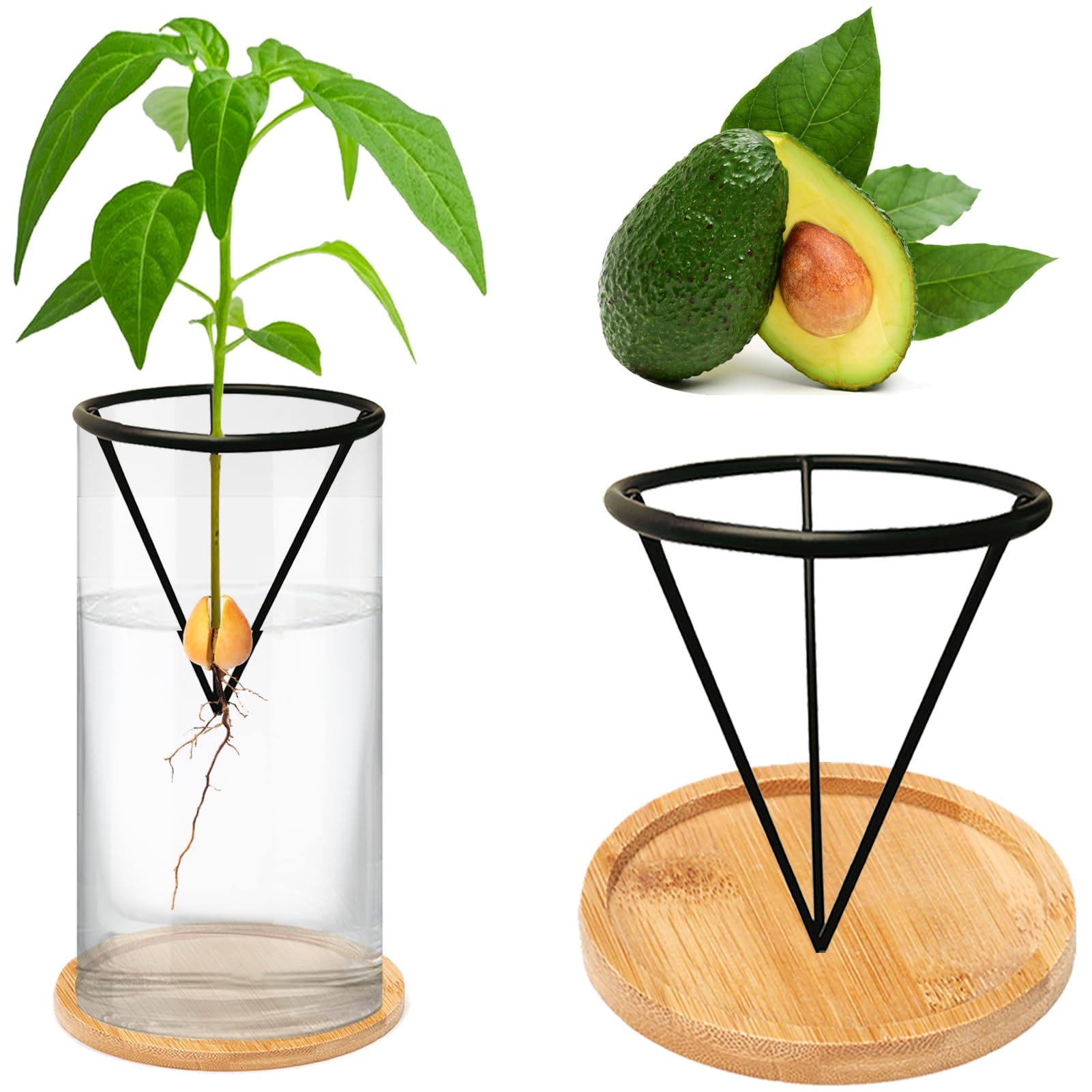 QXBXYHM Avocado Tree Growing Kit, Avocado Growing Vase with Plant Pot, Wooden Base, Metal Stand, Black-transparent, Contemporary, Minimalist, Indoor, 3 Inch, 1 Count