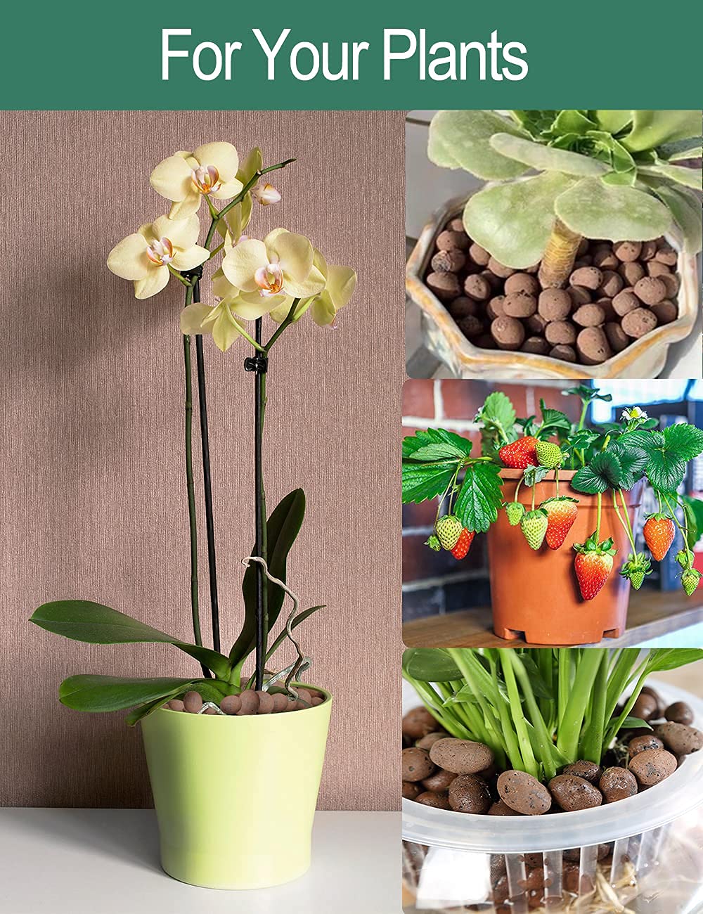Expanded Hydroponic Clay Pebbles 2qt, 1.6 lb, 8mm-12mm, Natural Organic Flower Orchid Plant Grow Media, Porous Stones for Hydroponics, Drainage, Decoration, Aquaponics and Other Gardening Essentials