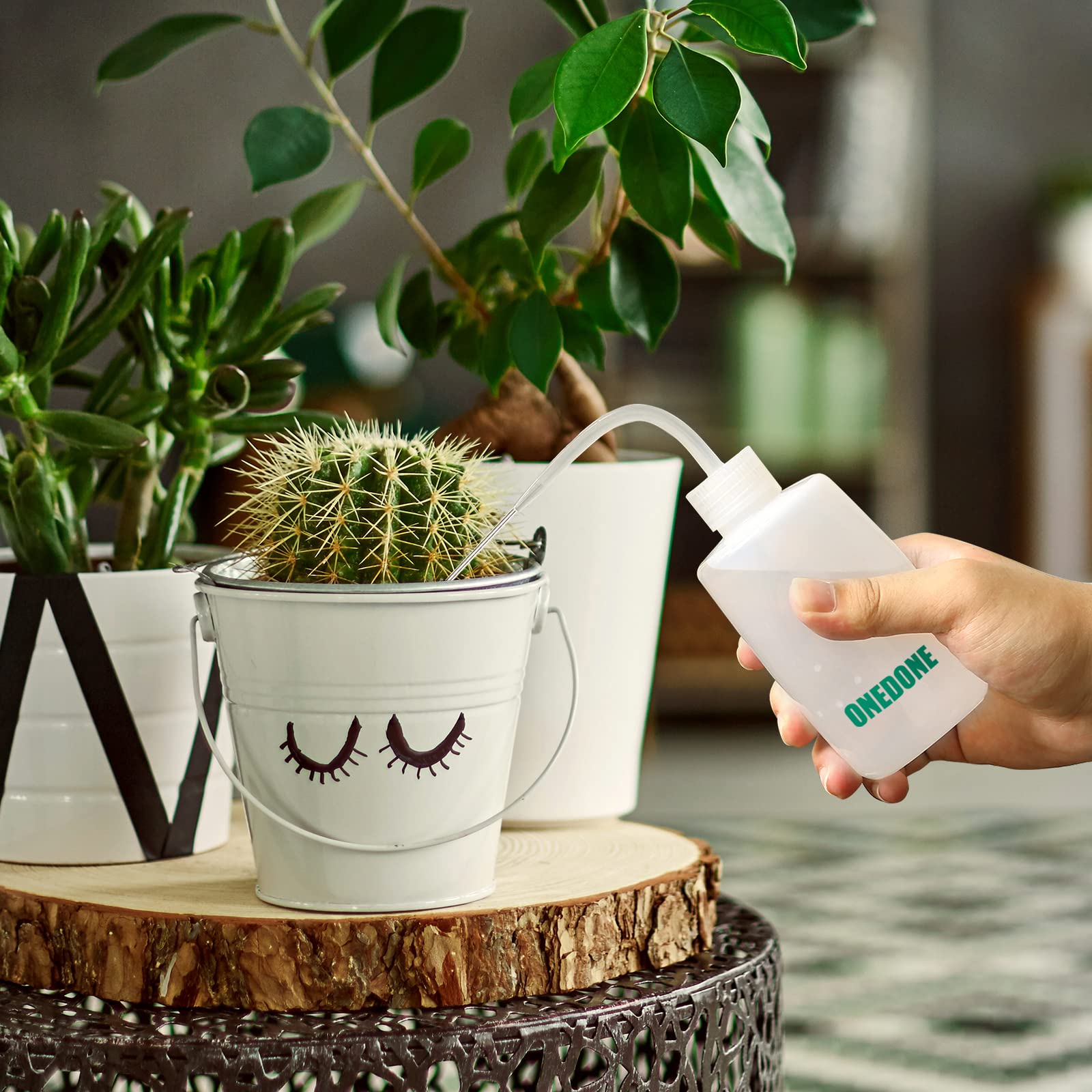 ONEDONE Watering Can Indoor Plants, Long Spout Plant Watering Can 1L 34oz, Small Watering Can for House Plants Garden Potted Flowers Green with Bonus Spray Bottle, Squeeze Bottle