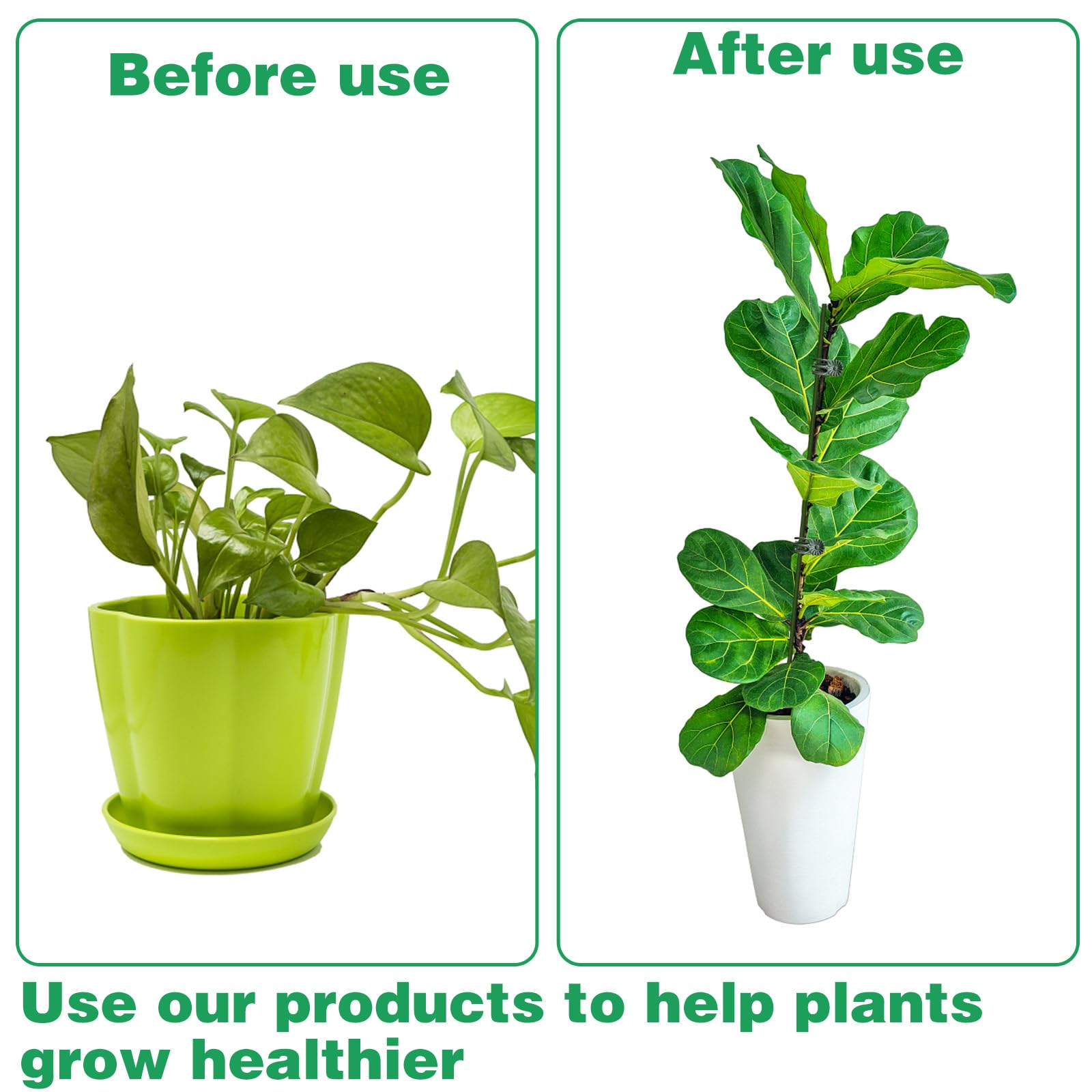 50Pcs Plant Stake Clip Set Green, Plant Sticks Supplies Support Tall, Useful Support Clips, Fine Workmanship Allow Bending Suitable for Various Pots Indoors and Outdoors