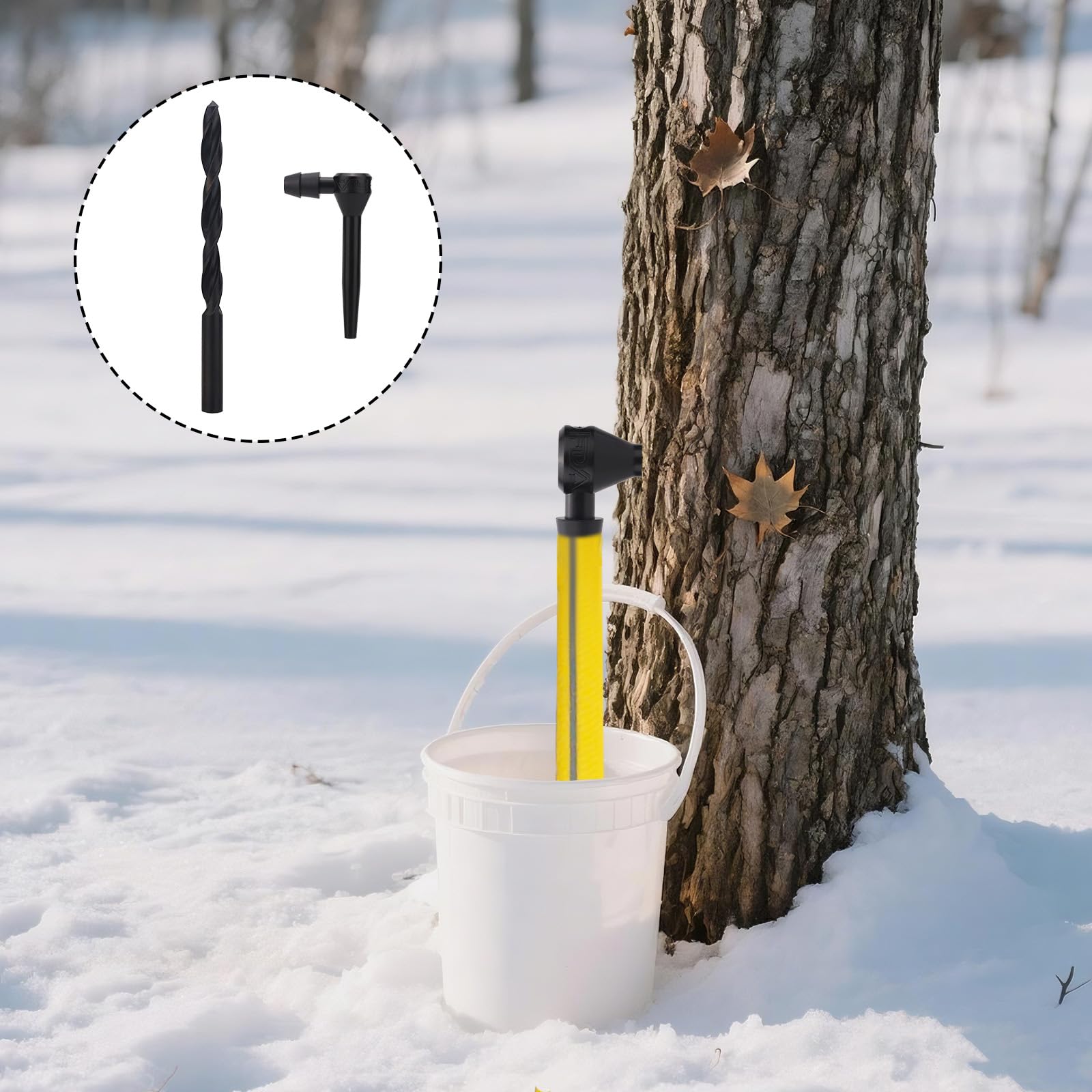 31pcs Maple Syrup Tapping Kit, Birch Tree Taps with Matching Drill Bit for Experts or Beginners Maple Birch Tree Syrup Collection Supplies(Black)