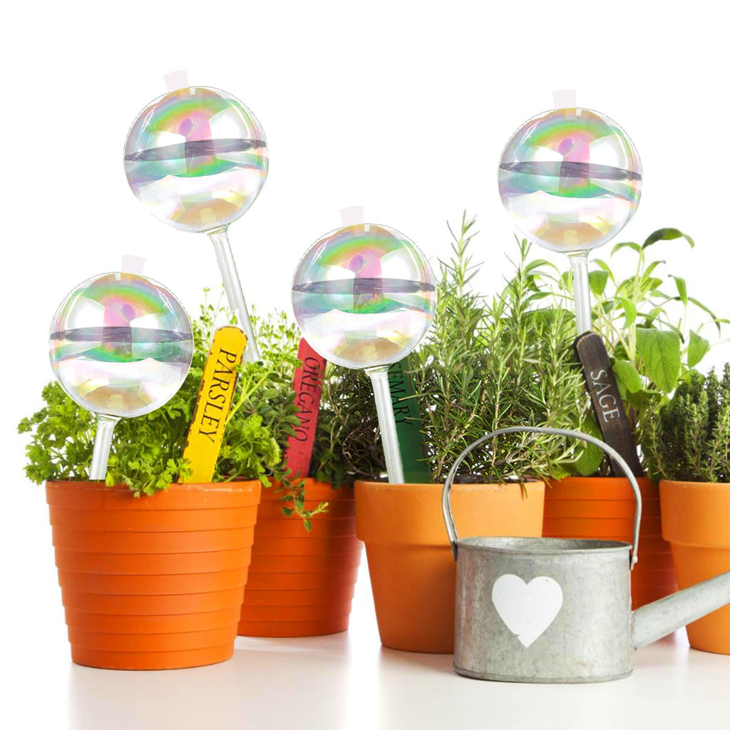 13 oz Up 2 Weeks Large Plant Watering Globes - Self Watering Bulbs for Indoor & Outdoor Plants, Glass Water Globes, Slow Watering for Plants While Away, Self Watering Planter Insert (Large 2-Pack)