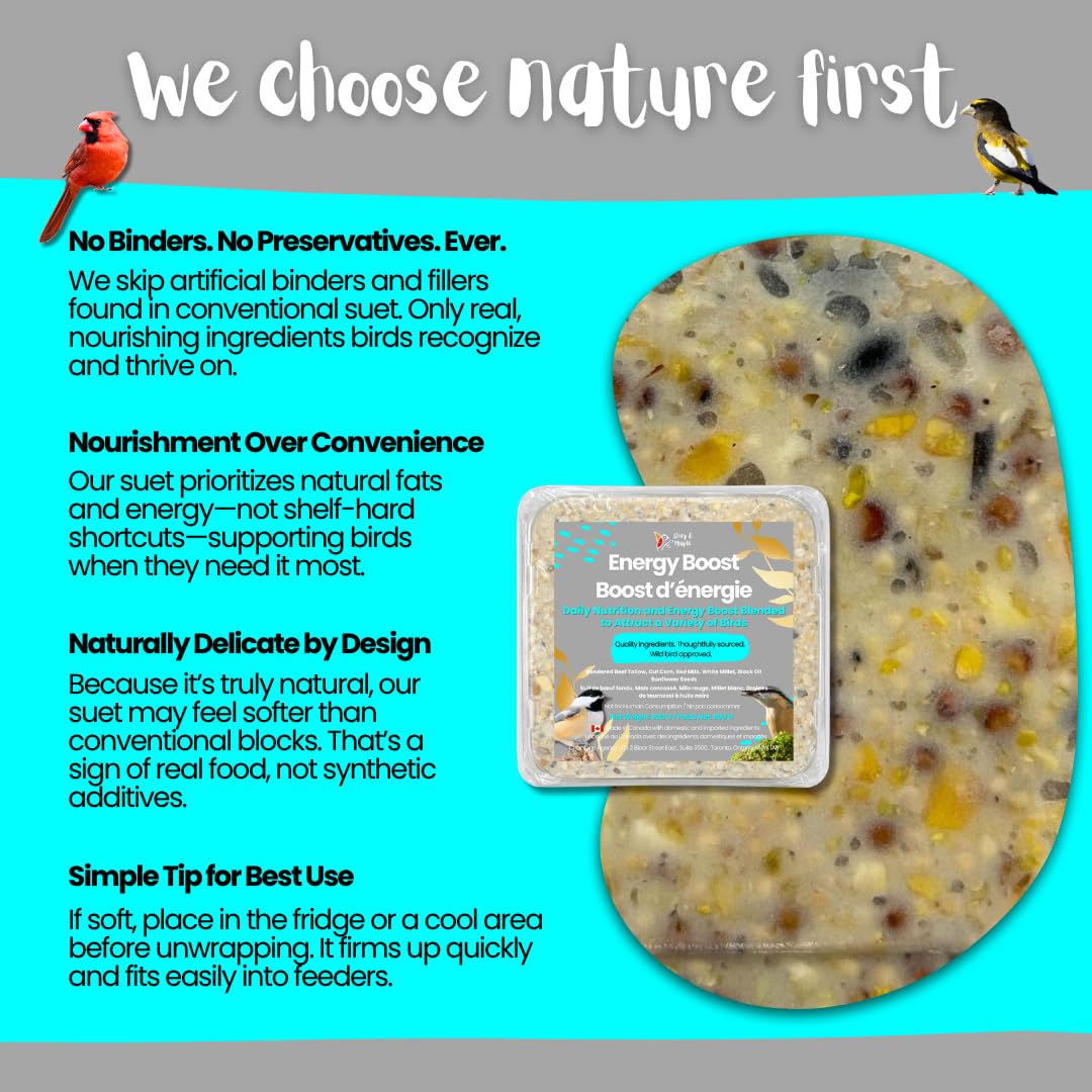 Chirp & Maple, Energy Boost, High-Energy Suet for Wild Birds, Wild Bird Food (3-Pack) 900G