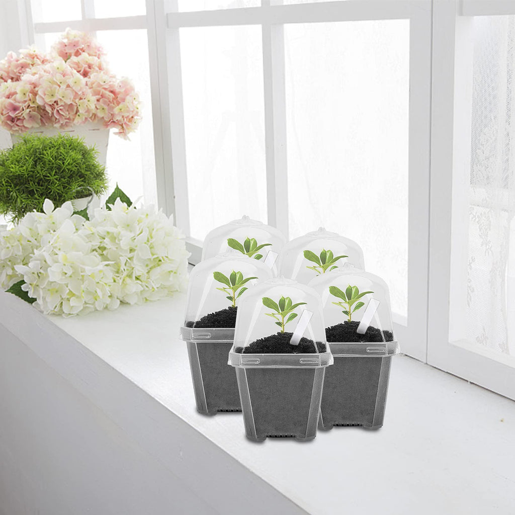EBaokuup 10pcs Clear Plant Nursery Pots with Humidity Dome - 3" Durable Plastic Gardening Pot with Labels, Small Plant Container for Seedlings/Vegetables/Succulents/Cuttings (3“-10pcs)