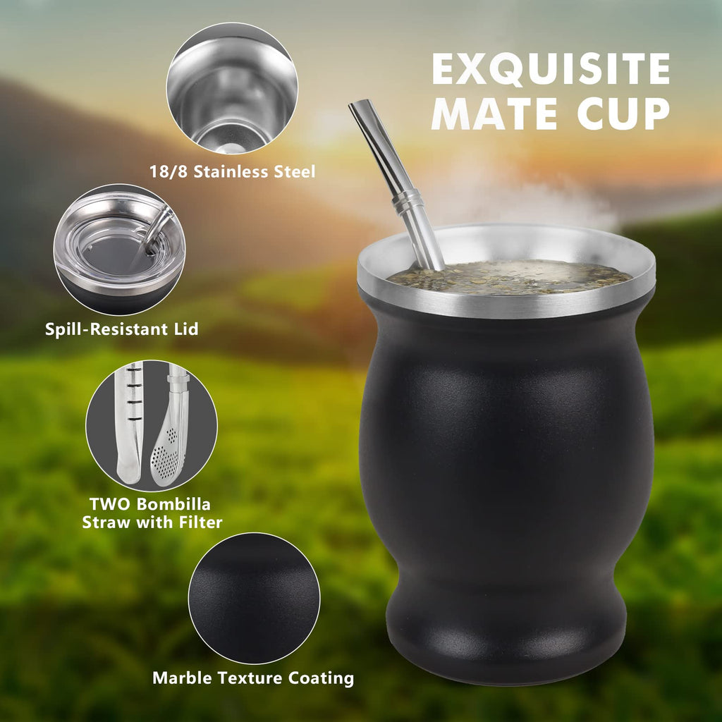 ROCKY&CHAO 9 Oz Yerba Mate Cup, Tea Cup Set Include Stainless Steel Modern 2 Bombilla Straws, Cleaning Brush and BPA Free Lid, Double-Walled Hot & Cold Drink, for Tea, Coffe(Gourd-Black)