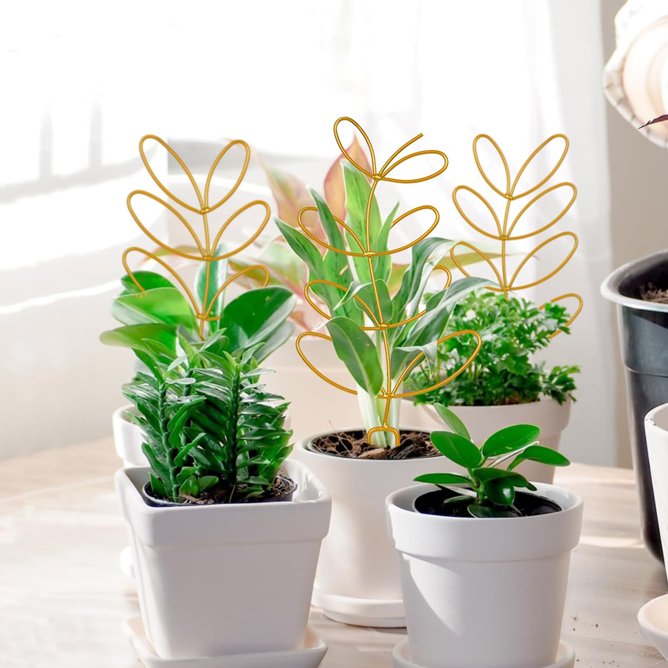Trellis for Potted Plant,Metal Wire Stake for Climbing Plants Indoor Houseplant Lover,Trellis for Garden Potted Plant,Hoya,Pothos,Flower,Monstera-PLJ-009_CA