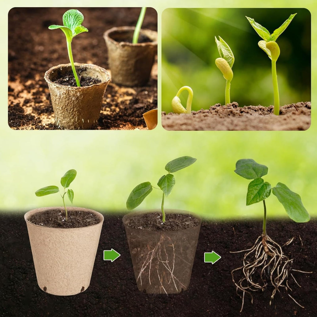 100-Pack 2 Inch Peat Pots for Seedling with Plant Labels, Biodegradable Seed Starter Pots, Plant Cups with Mini Seedling Tools for Garden Germination Nursery Pot