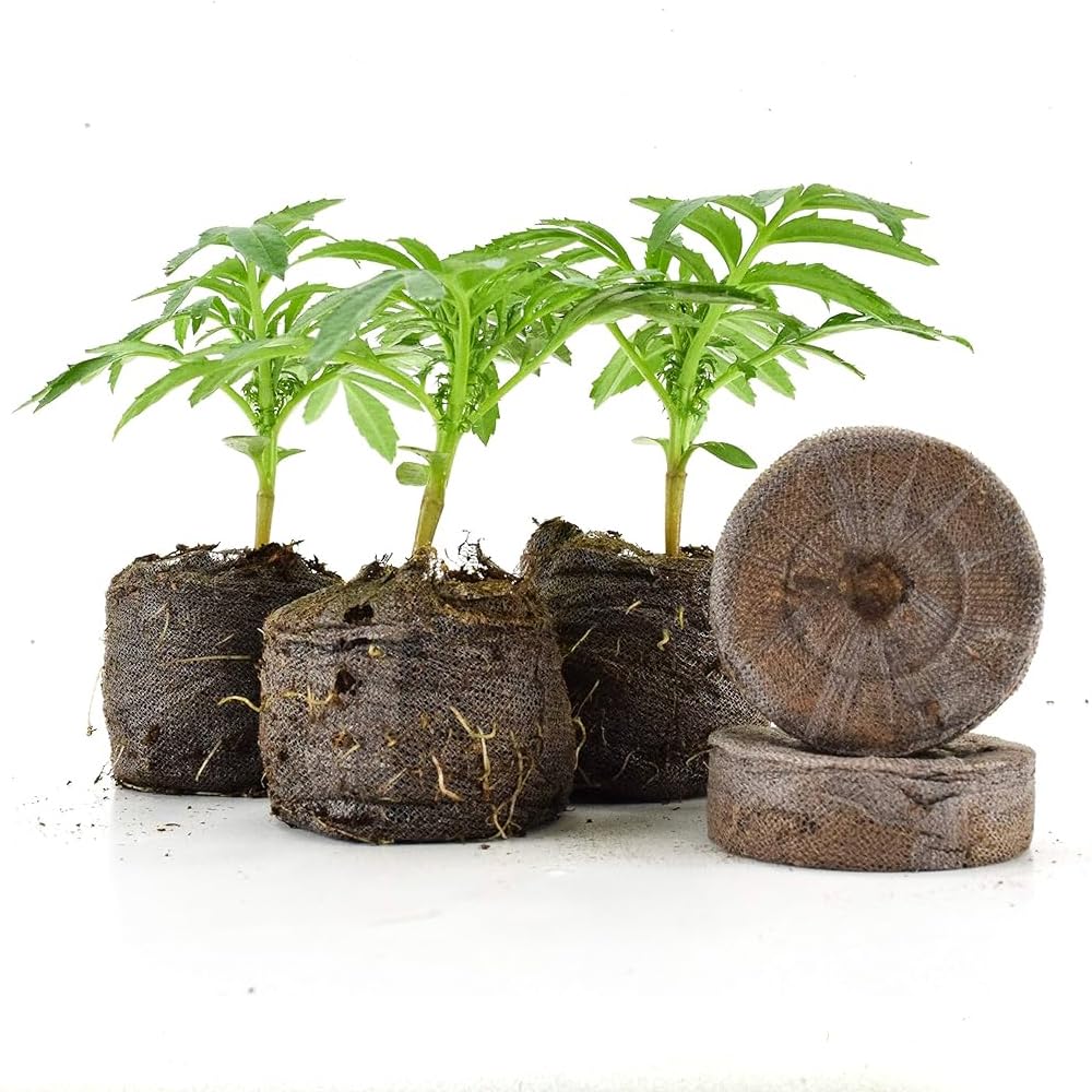 Jiffy-7 The Original 100% Peat Pellets, Propagating Seeds and Cuttings Or Tissue Culture for Stronger Roots, Biodegradable Net. Product of Canada. 100 Pellets (30mm)