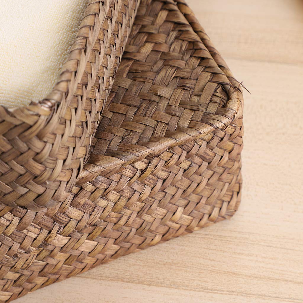 BTSKY Set of 2 Pack Woven Storage Baskets with Lids, Straw Wire Storage Organizer for Home/Office Supplies Such as Towels, Clothing, Cosmetics and Letters (Coffee)
