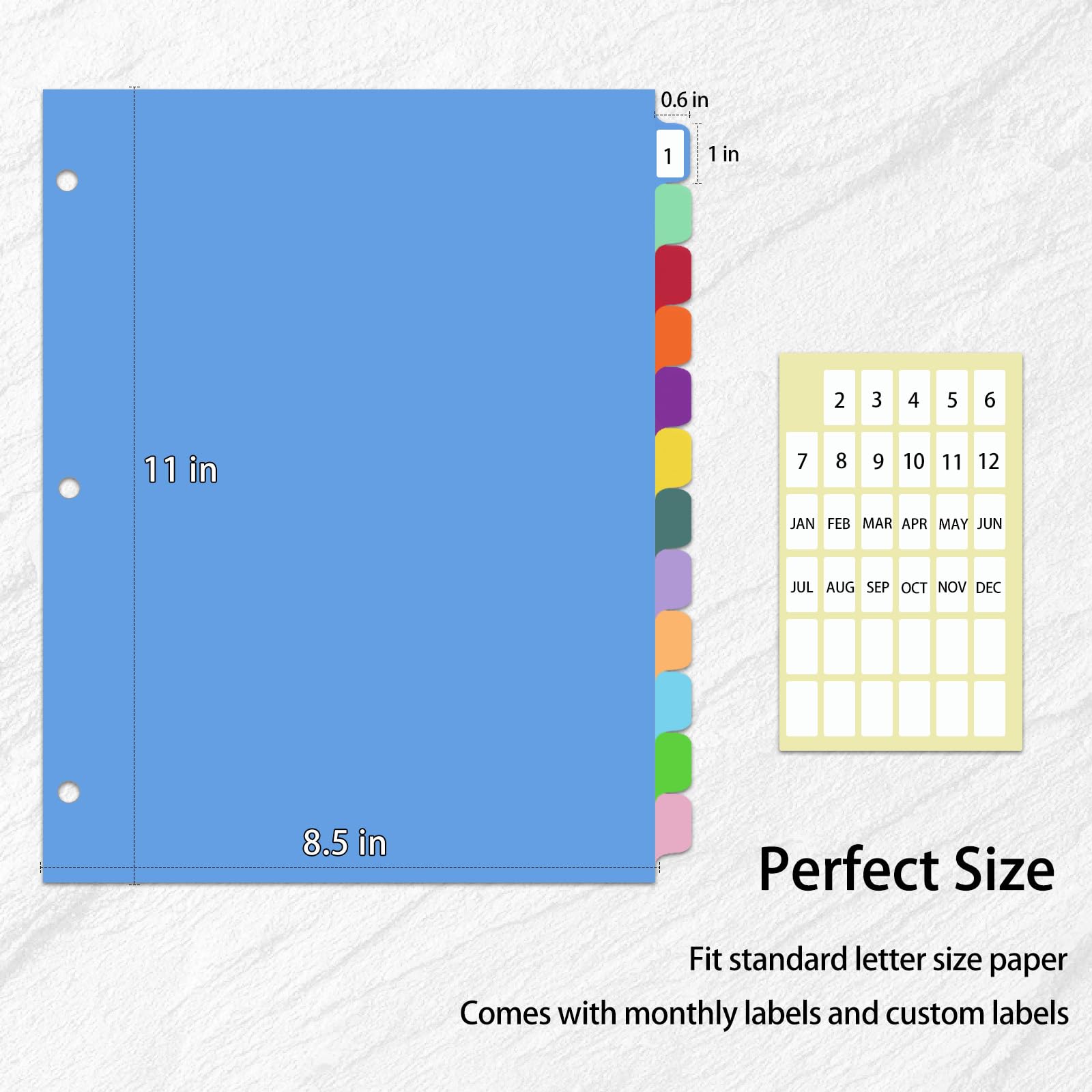 12-Tab Binder dividers with tabs for 3 Ring Binder, Write & Erase, Dividers for 8.5 x 11'' Letter Size Papers, Assorted Color, 3 Set, Ideal for Student, Teacher