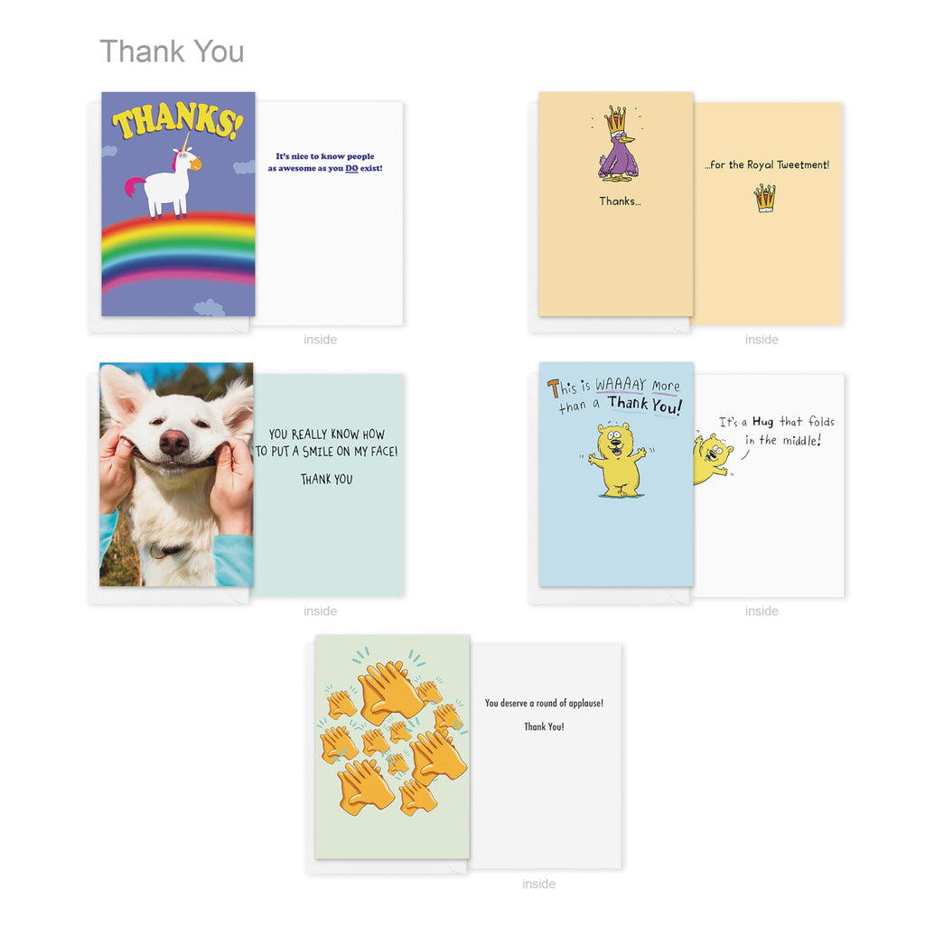 Recycled Paper Greetings 30-Count Funny All Occasion Card Assortment with Envelopes, Seals, and Storage Box by Hey Look!