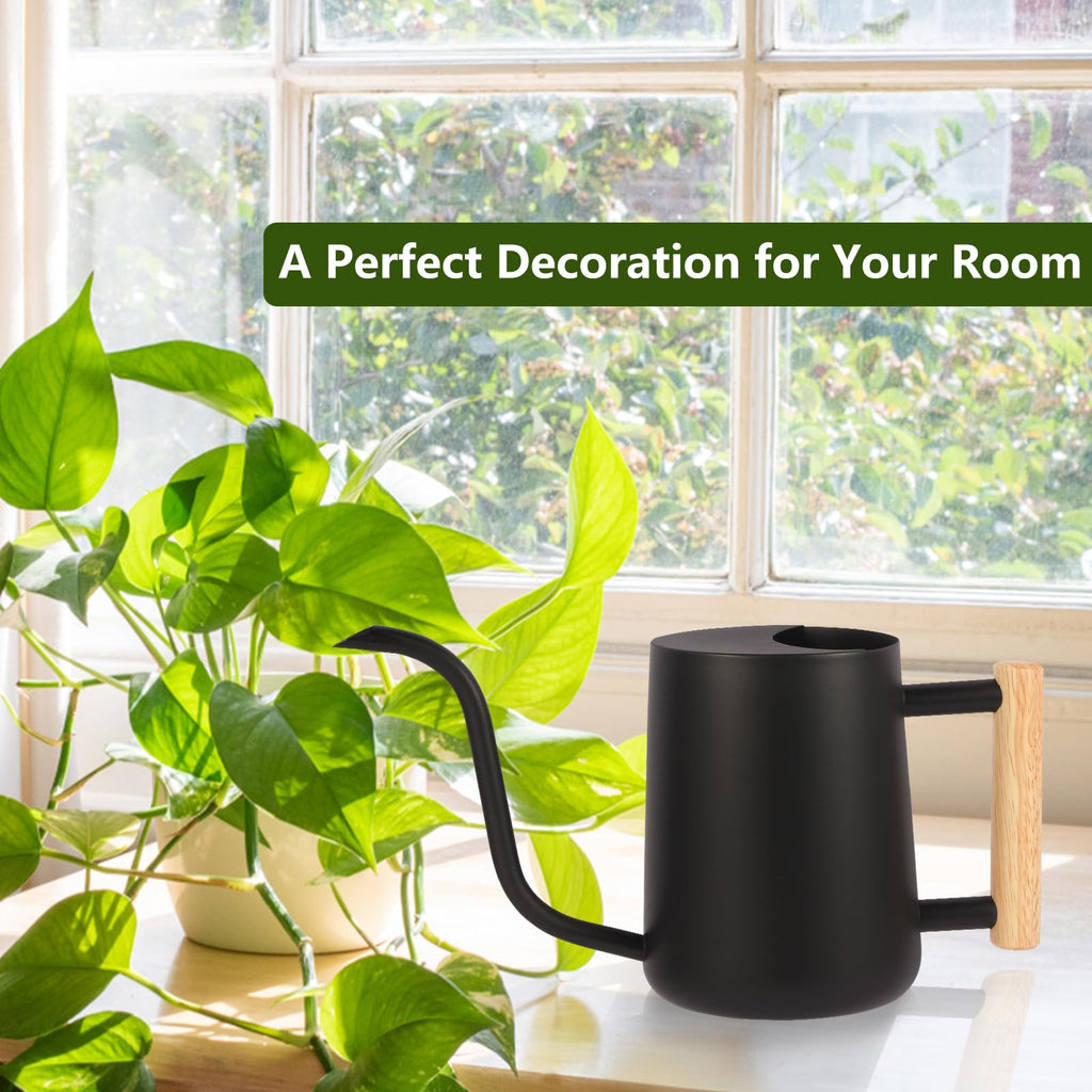 Watering Can Indoor Plants, 35oz Small Watering Can Stainless Steel Metal Modern Decorative Watering Pot with Long Spout for Indoor House Plant Bonsai Garden Flowers - Black