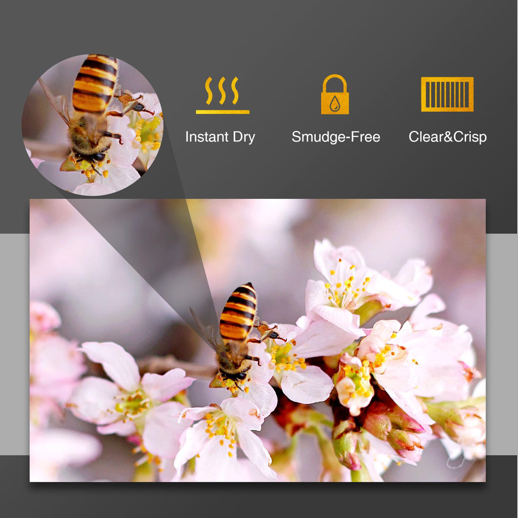A-SUB Premium Photo Paper High Glossy 8.5x11 Inch 66lb for Inkjet Printers 50 Sheets