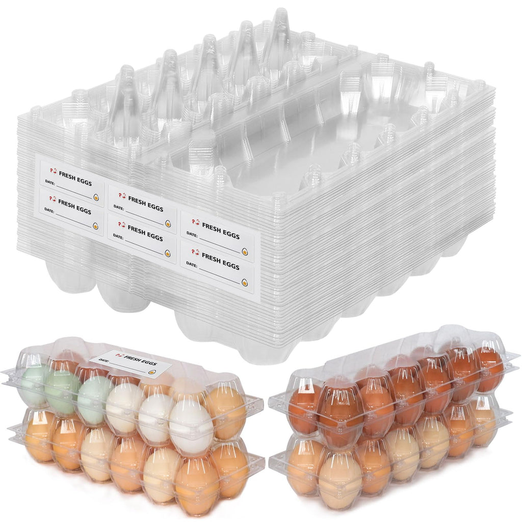 60 Packs Egg cartons cheap bulk，Plastic Egg Carton for 12 Eggs， Clear Egg Carton 2 * 6 Grids，Perfect for Refrigerator Chicken Farm Markets Commercial Business Market Display, Large