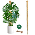 SYCARON Bendable Moss Pole, 47.2 Inches Moss Pole Plant Support Monstera Plant Support Stakes for Medium Climbing Plants, Indoor Plants Growth
