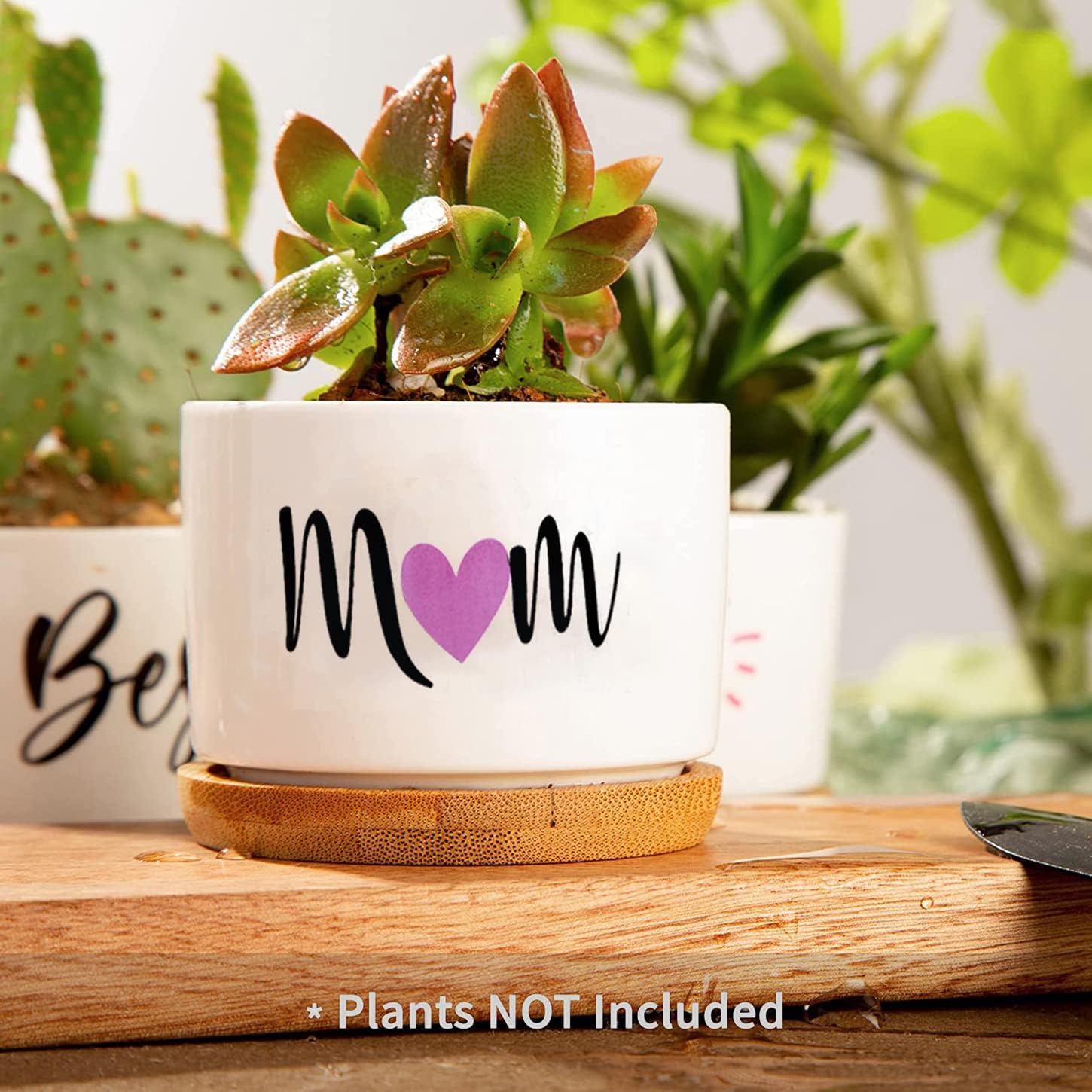 Best Mom Ever Gifts, Best Gifts for Mum from Daughter Son Kids Unique, Best Mom Ever Succulent Pots for Plants Indoor Ceramic Planter, Gift Boxed Birthday