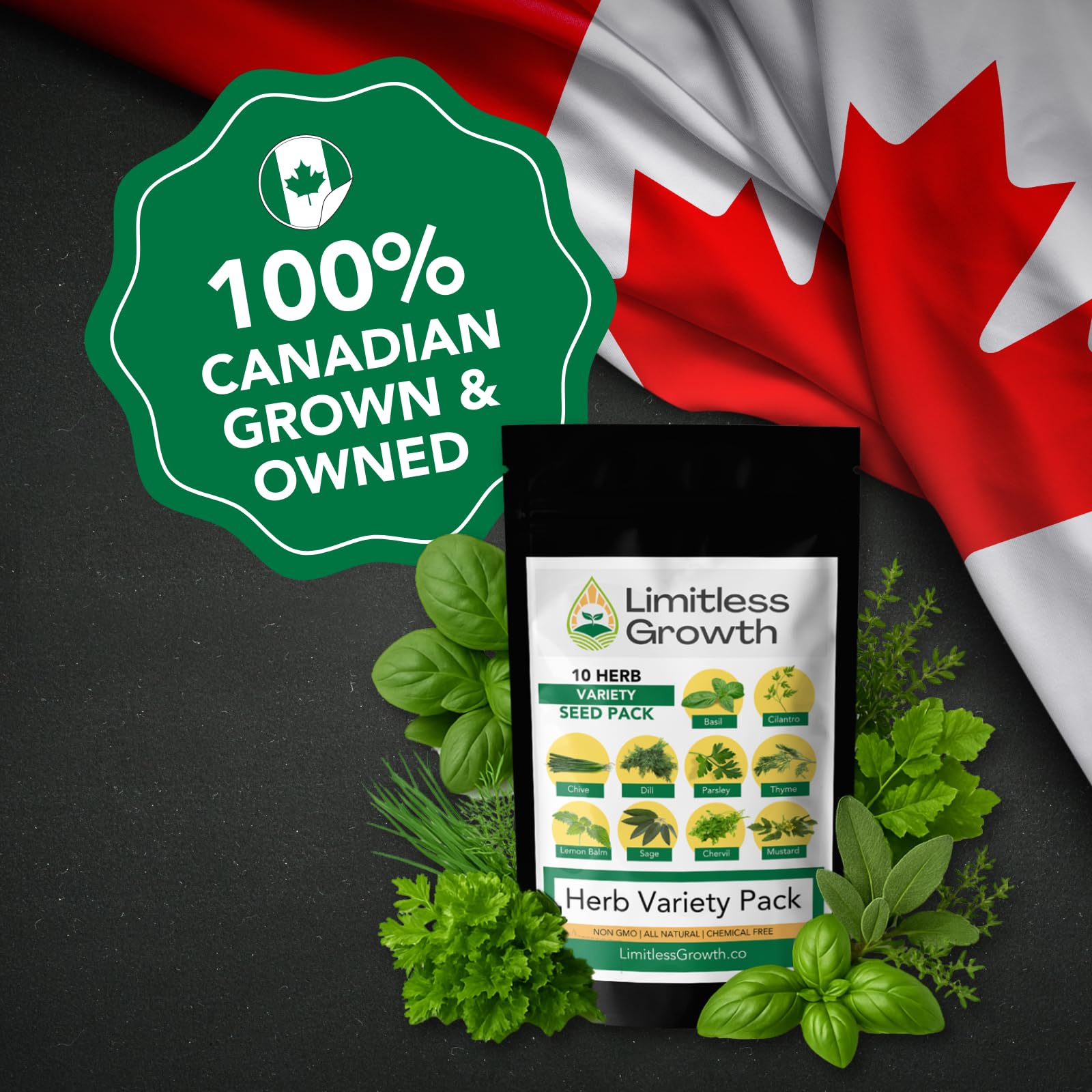 10 Herb Pack | Seeds for Planting: Culinary Herbs Collection | Indoor & Outdoor Garden Variety | Chervil, Chive, Cilantro, Lemon Balm, Mustard, Sage, Thyme, Basil, Parsley, Dill | Limitless Growth