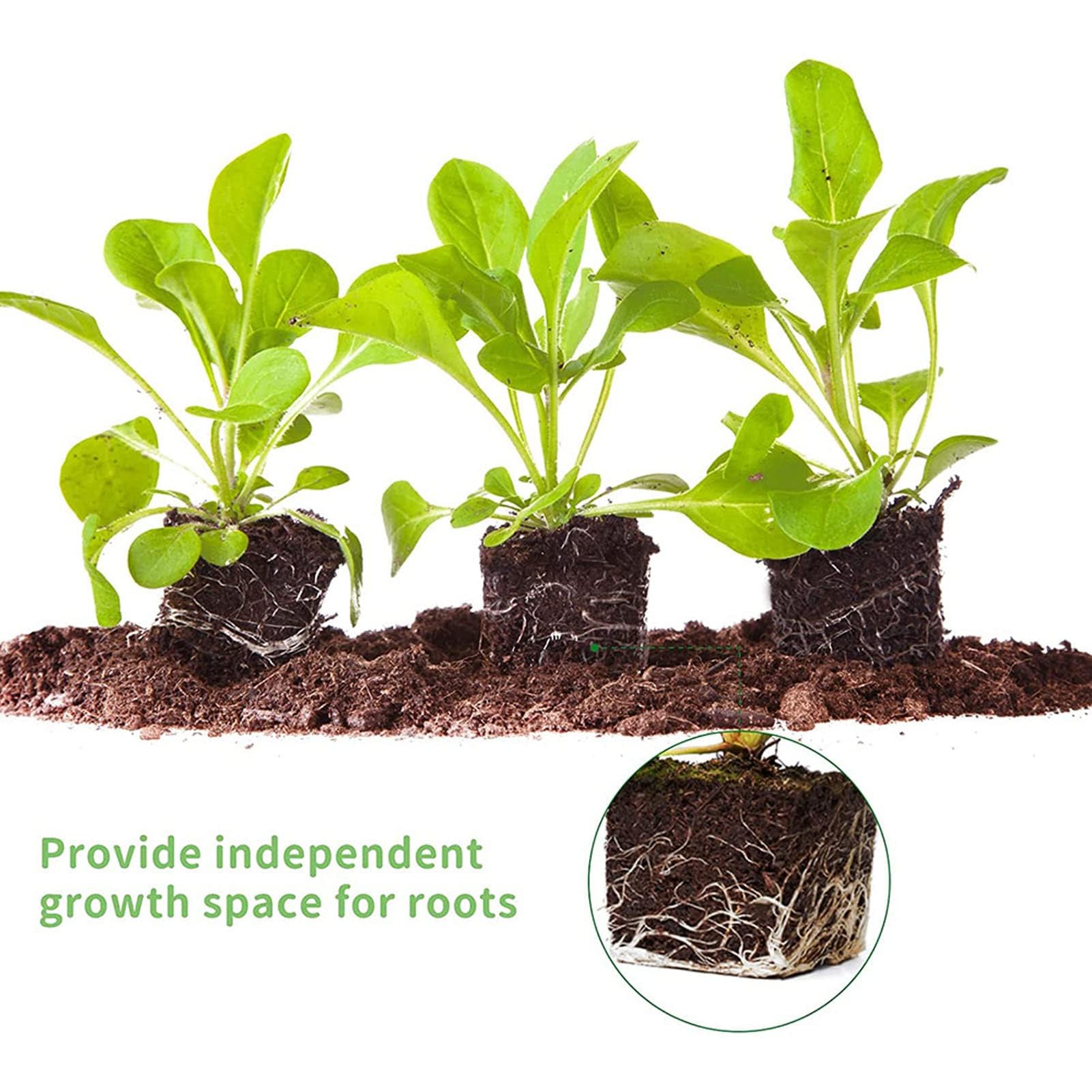 Soil Blocker with Comfortable Handle, 4 Cell Soil Block Maker 2 Inch Mold Blocking Tool for Seed Starting Germination, Grow Seedling No Transplant Shock
