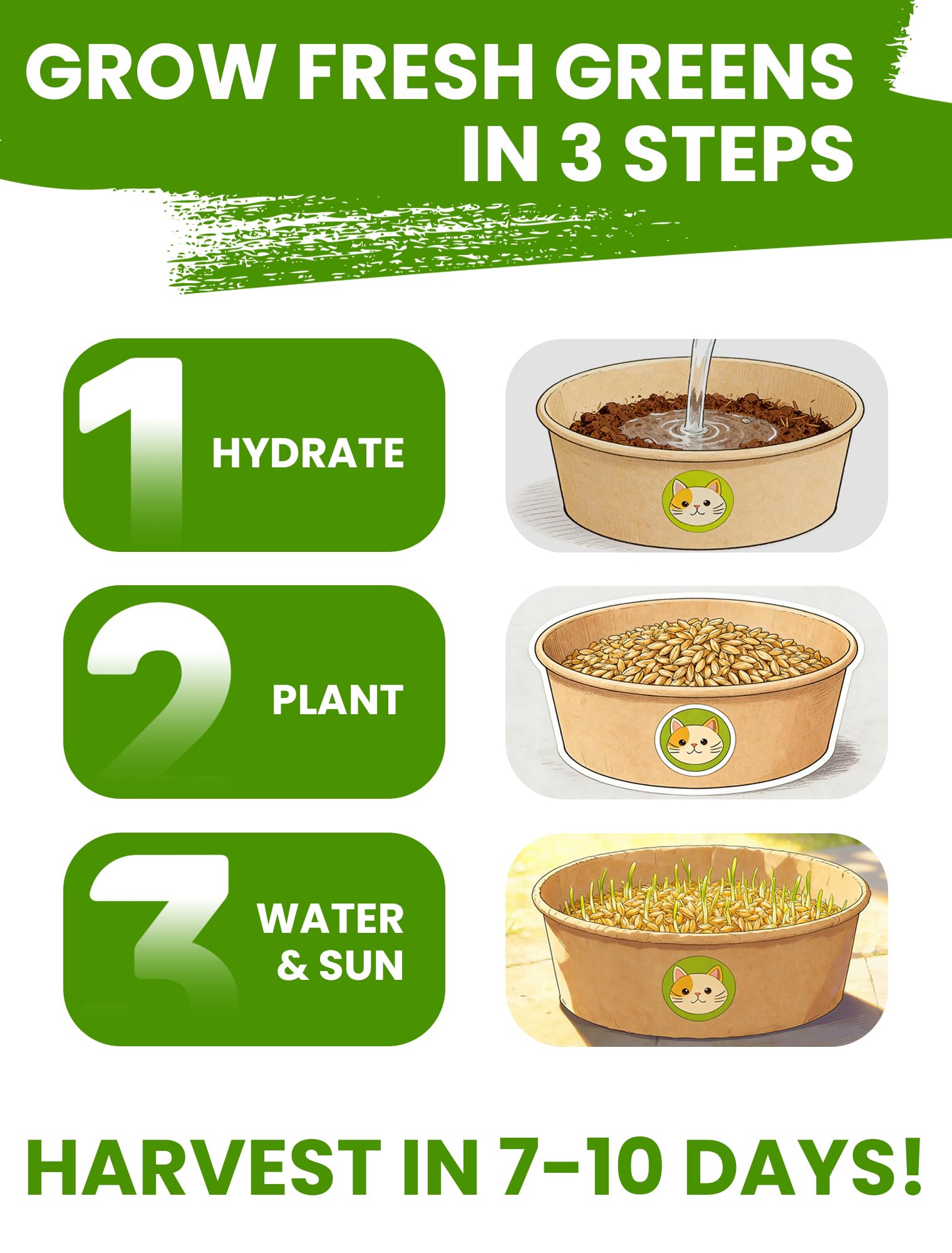 Cat Grass for Indoor Cats - Cat Grass Seeds Kit - Organic Growing Kit with High Germination Organic Wheat Seeds, Planting Tools, and Soil - Natural Hairball Control and Digestion Remedy
