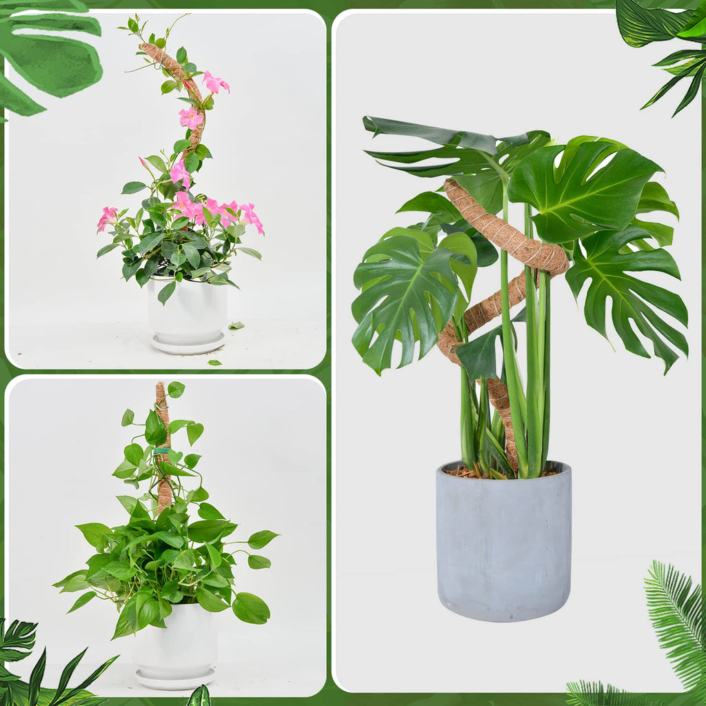 Bendable Moss Pole for Plants, SproutMaven 2 x 48 Inch Monstera Plant Stakes for Climbing Plants