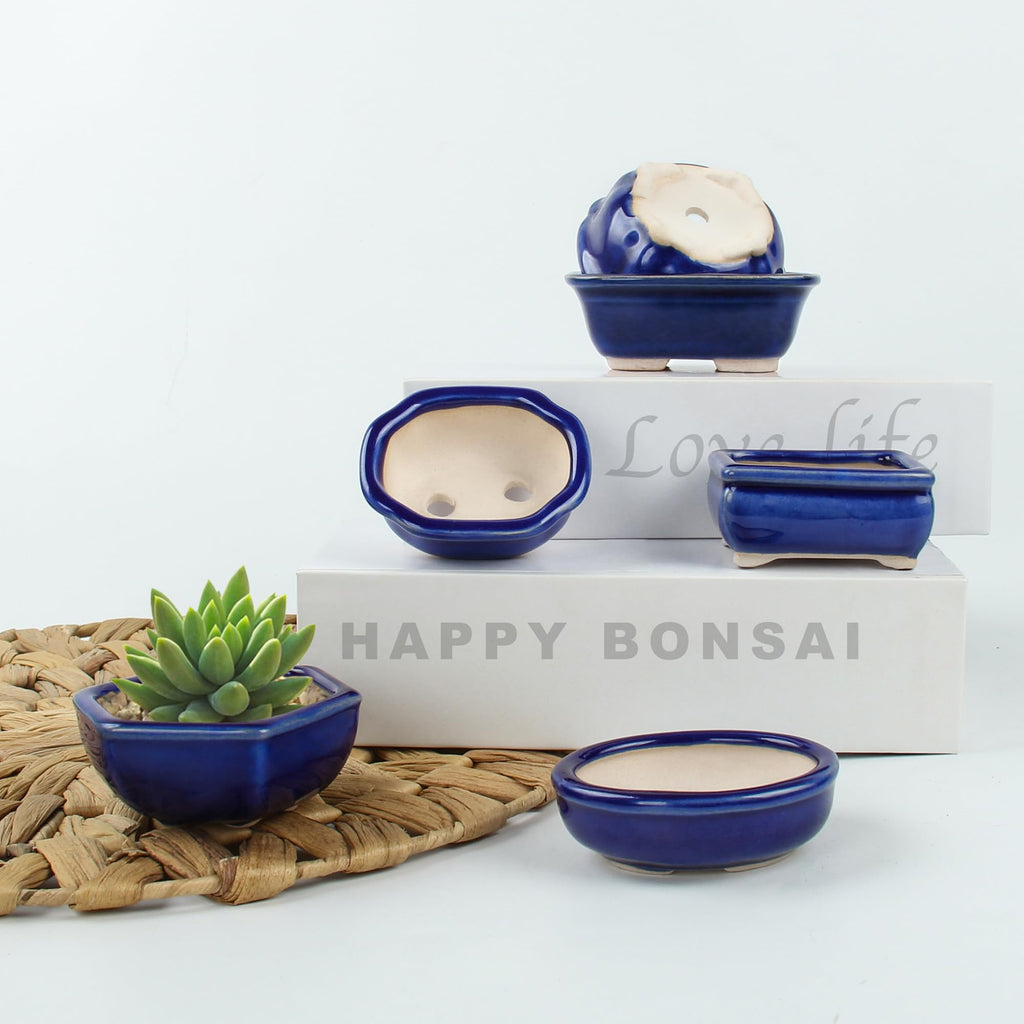 Happy Bonsai Planter Succulent 6 pc Mini Glazed Pots Value Set + 6 Drainage Screens