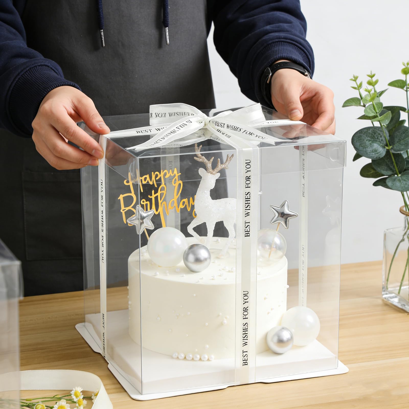 NROZIET 6 Pack Clear Cake Box, 2-Layer Transparent Cakes Box with Ribbon, 10" X 10" X 9" Tall Cake Carrier Boxes with Sturdy Board for Bakery Dessert Bread Pastry Birthday Parties, Wedding Graduation