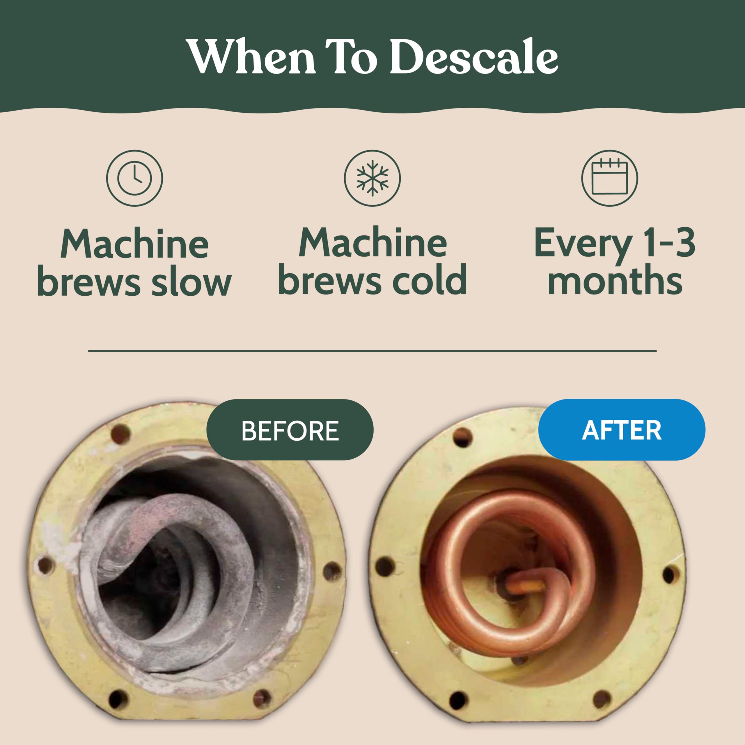 Roobi Philips Compatible Descaling Solution & Cleaner. Specially Formulated for Descaling & Cleaning Philips Coffee Machines. Carbon Neutral Philips Descaler Kit. 2 Uses per Bottle, 2 Pack