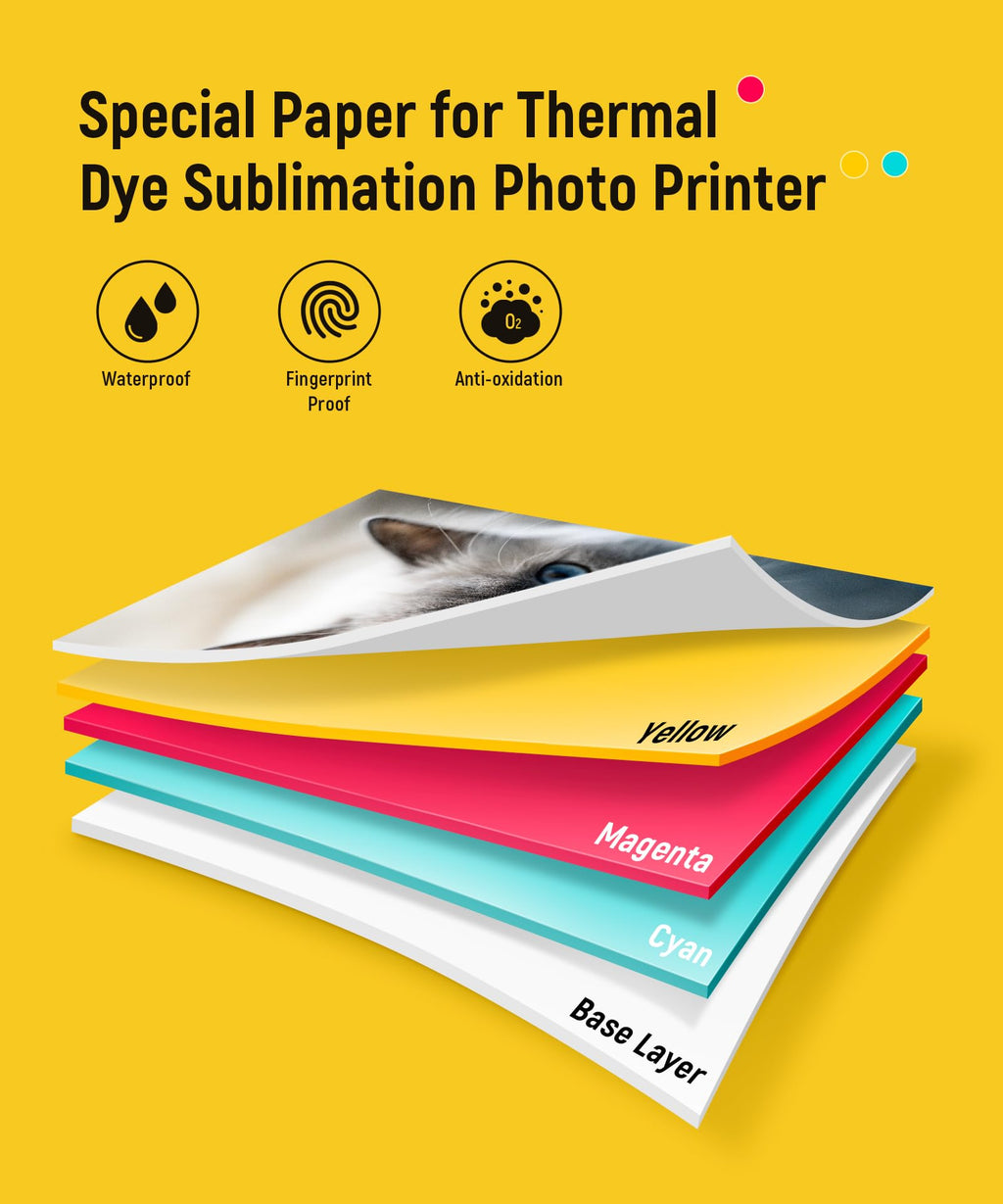 Liene 4x6'' Photo Printer Paper & Cartridge, Cartridge Refill & Photo Paper- 40 Pack for DHP512/DHP513