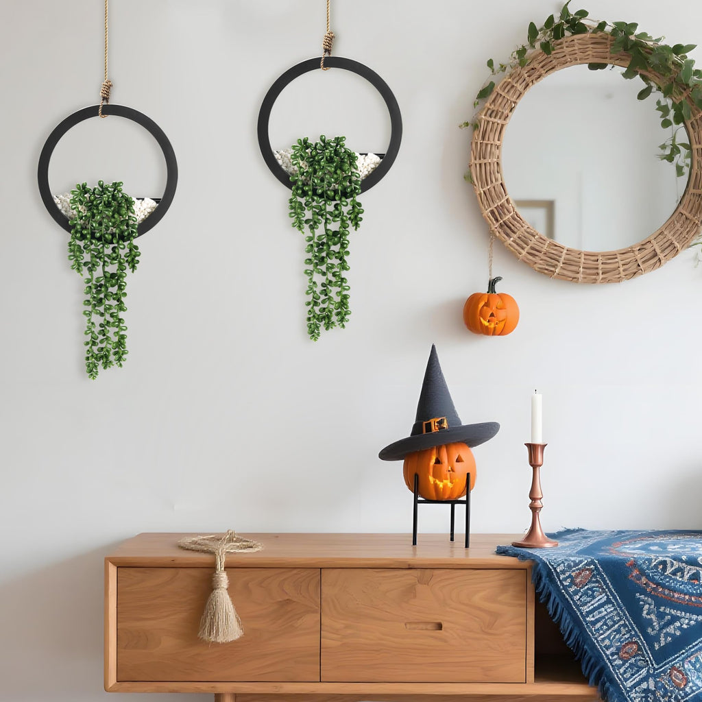 Der Rose 2Pcs Fake Hanging Plants Artificial Succulents Faux Hanging Plants in Black Pots for Bathroom Home Boho Kitchen Office Wall Decor Living Room Indoor