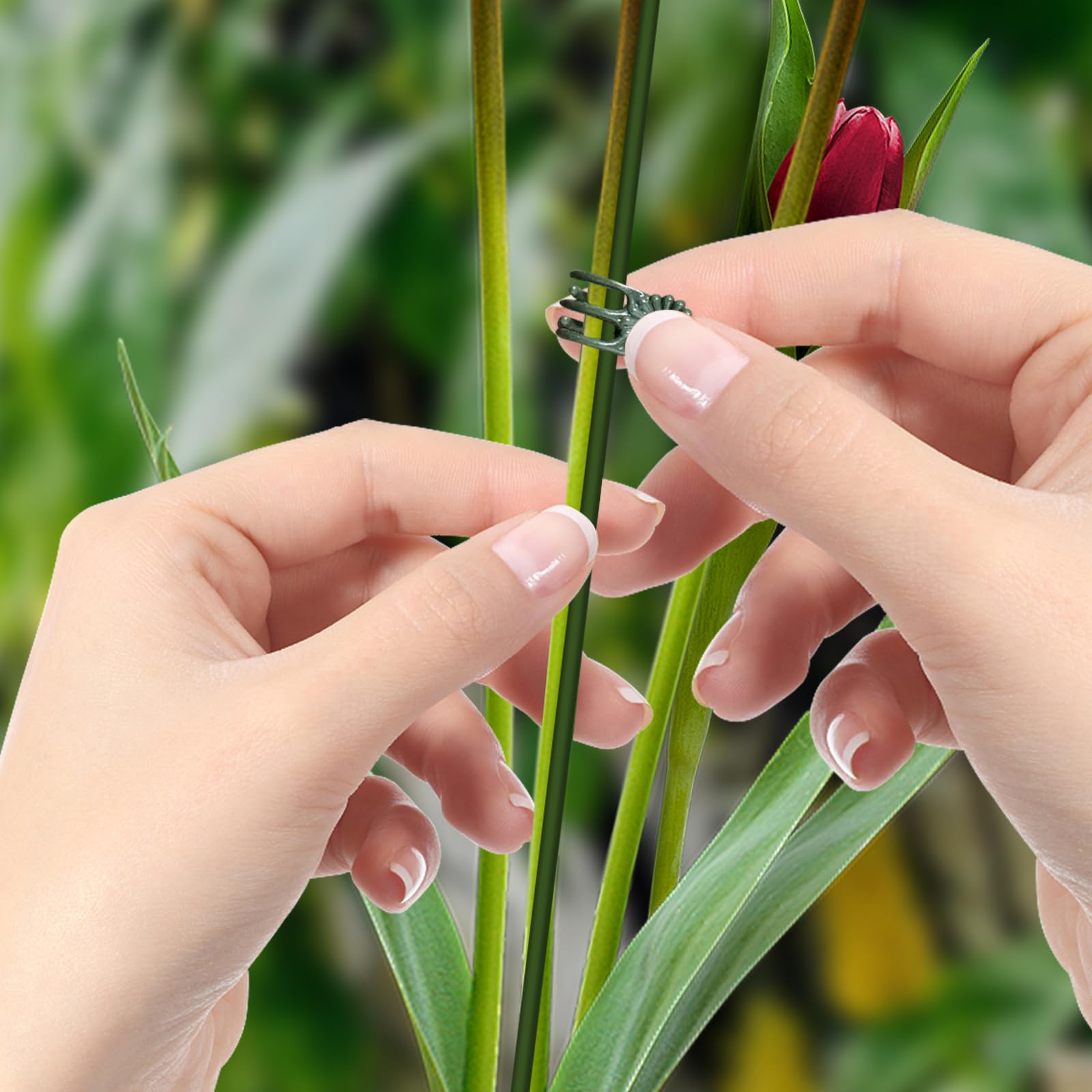 50Pcs Plant Stake Clip Set Green, Plant Sticks Supplies Support Tall, Useful Support Clips, Fine Workmanship Allow Bending Suitable for Various Pots Indoors and Outdoors