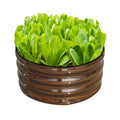 SnugNiture 2x2x1ft Round Galvanized Raised Garden Bed Kit Outdoor, Metal Planter Box for Planting Plants Vegetables, Brown