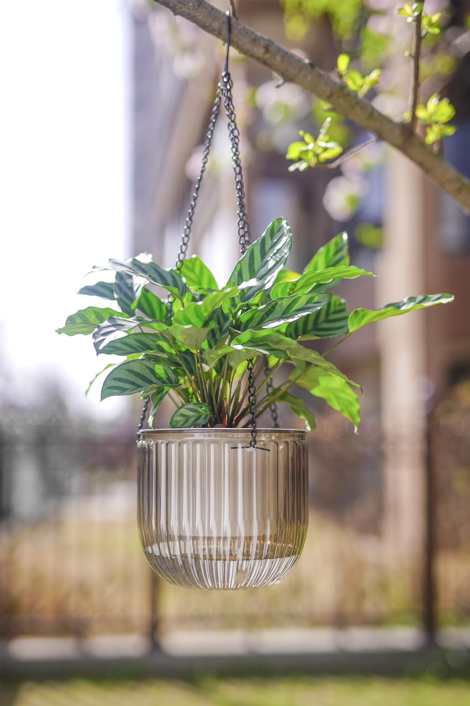 Melphoe 2 Pack Self Watering Hanging Planters Indoor Flower Pots, 6.5 Inch Outdoor Hanging Plant Pot Basket, Plant Hanger with 3Hooks Drainage Holes for Garden Home (Gray)